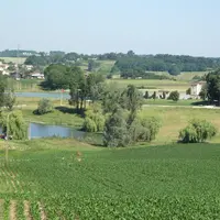 agriculture