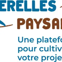 site