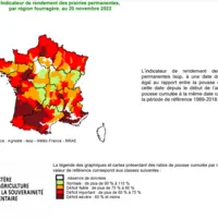 bilan