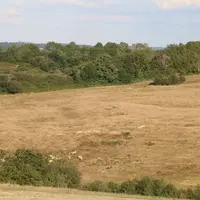 prairie désechée