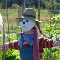 épouvantail dans un jardin d'un particulier