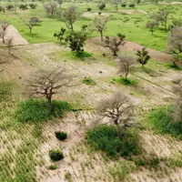 etude cirad