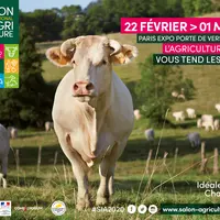 salon de l'agriculture affiche vache charolaise