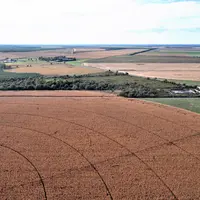 sols cultivés