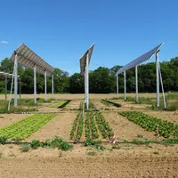 agrivoltaïsme, panneaux photovoltaïques au-dessus d'un champ