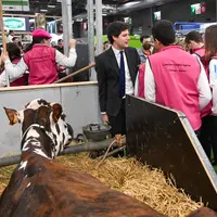 Julien Denormandie au salon de l'agriculture