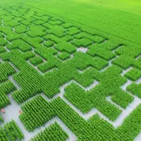labyrinthe