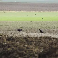 agriculteurs