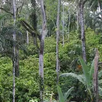 étude