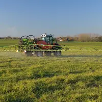 Pulvérisation de glyphosate sur des repousses dans un champs.