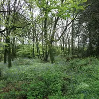 biodiversité