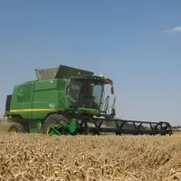 Une moissonneuse-batteuse dans un champ de céréales pour la moisson.