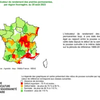 cartographie de la pousse de l'herbe en août 2023