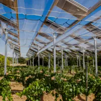 Ombrière photovoltaïque déployée au-dessus de vignes