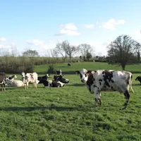 agriculture