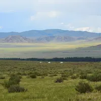 Steppe de Mongolie