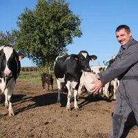 Damien Retailleau, agriculteur et joueur de rugby, devant ses vaches laitières avec un ballon de rugby.