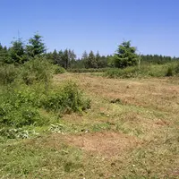 Surface agricole abandonnée