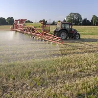 Pulvérisation de glyphosate sur des repousses de blé dans un champ