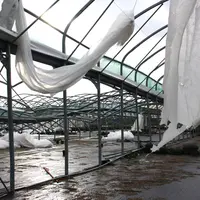 Serre affectée par la tempête Ciaran dans le Finistère