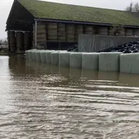 Ferme laitière du Pas-de-Calais touchée par les inondations.