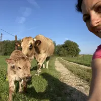 L'éleveuse Bérengère Paquet faisant un selfie avec une vache et son veau.