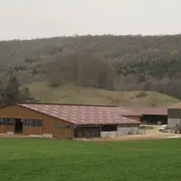 Bâtiment d'élevage de vaches laitières