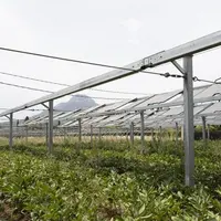 panneaux agrivoltaïques