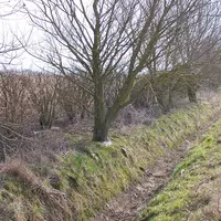 Fossé près d'une parcelle agricole