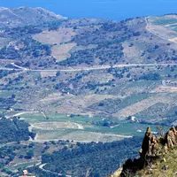 Vignoble de Collioure dans les Pyrénées orientales