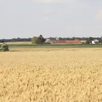Exploitation agricole au milieu des champs