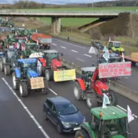 étude gains productivité agricole et distribution