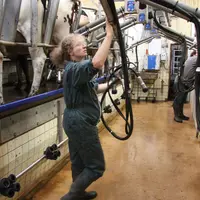 étude msa agricultrices