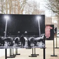 Photos de Paris Match sur le salon de l'Agriculture exposées sur les Champs élysées à Paris