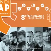 guide pratique handicap