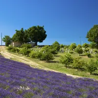 aides agriculteurs région Paca