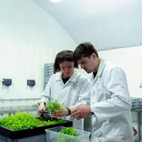 recherche en agriculture