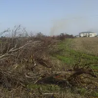Brûlage de bois de haie
