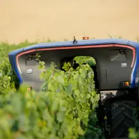 Robot agricole dans une vigne