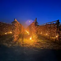 Tours antigel dans les vergers des Fruits de Weppes dans le Nord.