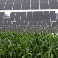 Canopée agrivoltaïque installée à Brouchy dans la Somme sur 3 hectares de grandes cultures par TSE.