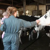 Agricultrice avec son enfant devant ses vaches laitières