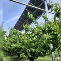 Site agrivoltaïque de l’EARL Clair Fruit à Loriol-sur-Drôme