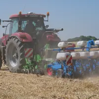Semis tardif de maïs en période de sécheresse