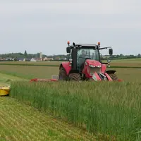 Cultures intermédiaires à vocation énergétique