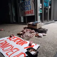 viande déversée devant la chambre d'agri de Quimper par un collectif