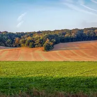 Paysage agricole