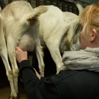 création nouveau diplôme agricole