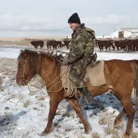 Elevage Bovin Kazakhstanais