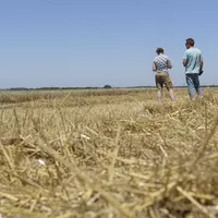étude renouvellement actifs agricoles